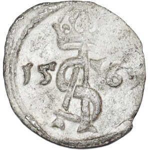Zygmunt II August, dwudenar 1565, Wilno