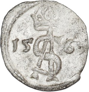 Sigismund II Augustus, dwudenar 1565, Vilnius
