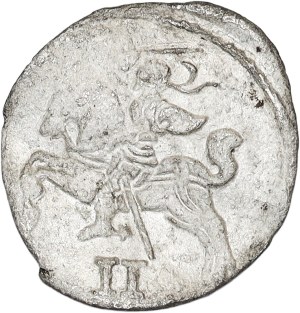 Sigismund II Augustus, dwudenar 1565, Vilnius