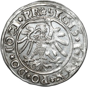 Sigismund I the Old, penny 1534, Elblag, PR