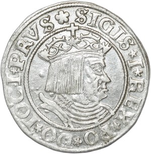 Sigismund I the Old, penny 1530, Torun, PRVS/PRVSS