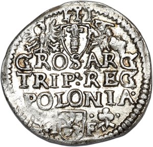Sigismund III Vasa, trojak 1596, Wschowa