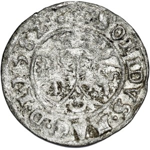 Stefan Batory, szeląg 1582, Wilno, STEPH / POL