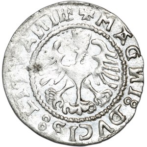 Zygmunt I Stary, półgrosz 1528 (?) litera V, odwrócone N