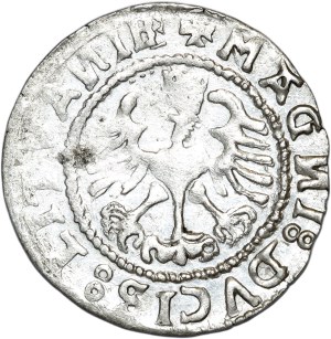 Sigismund I the Old, half-penny 1528 (?) letter V, inverted N