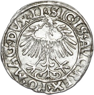 Sigismund II Augustus, half-penny 1556, Vilnius, LI/LITVA