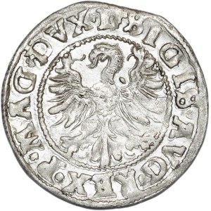 Zygmunt II August, półgrosz 1546, Wilno, L/LIT