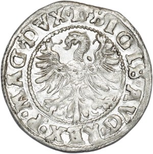 Sigismund II Augustus, half-penny 1546, Vilnius, L/LIT