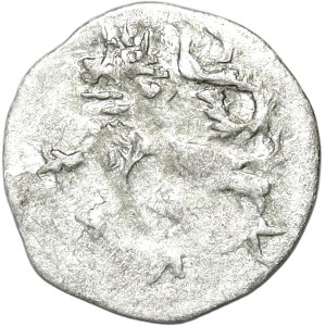 Śląsk, Hrabstwo kłodzkie, Puta z Castolovic 1422-1435, halerz, Kłodzko