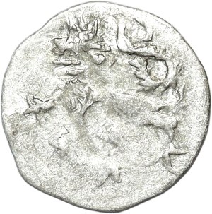 Silesia, Kłodzko County, Puta of Castolovic 1422-1435, halerz, Kłodzko