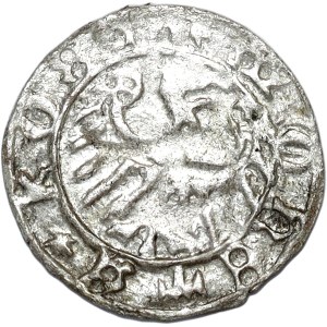 Śląsk, Konrad VII Biały, halerz, Koźle