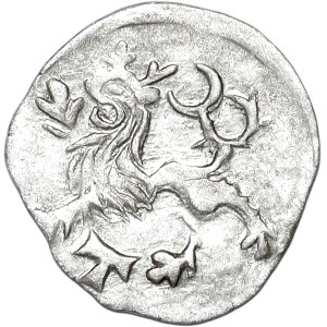 Śląsk, Zygmunt Luksemburczyk, halerz (1419-1437), Wrocław, litera T