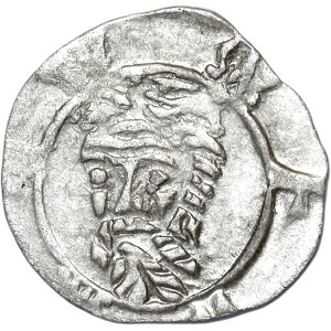 Śląsk, Zygmunt Luksemburczyk, halerz (1419-1437), Wrocław, litera T