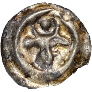 Świątopełk II (1217-1266), Pomorze Wschodnie, brakteat guziczkowy, łeb wołu