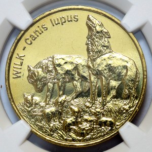 2 złote 1999, Wilk