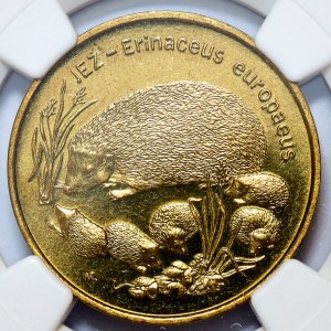 2 złote 1996, Jeż