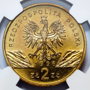 2 złote 1996, Jeż
