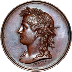 Włochy, Medal Wystawa Rolnicza 1885, Rzym