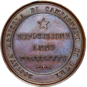 Włochy, Medal Wystawa Rolnicza 1885, Rzym
