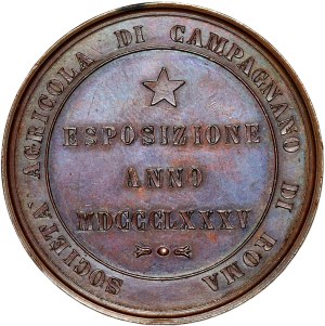 Italy, Agricultural Exhibition Medal 1885, Rome