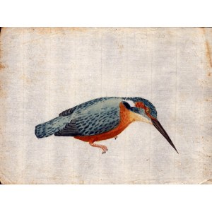 Six sheets with studies of various birds, Anonymous artist late 18th century