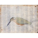 Six sheets with studies of various birds, Anonymous artist late 18th century