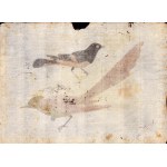 Six sheets with studies of various birds, Anonymous artist late 18th century