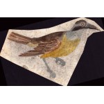 Six sheets with studies of various birds, Anonymous artist late 18th century