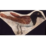 Six sheets with studies of various birds, Anonymous artist late 18th century