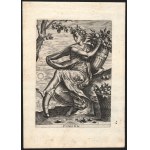 Monogrammista A, Flora | Pomona