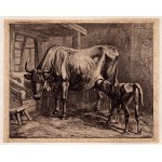 Johann Adam Klein (1792 - 1875), Cow suckling a calf, 1817