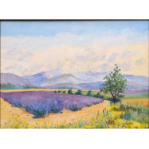 Salomon-Alfred BOISECQ (1911 - 2005), Pole lawendy na Prowansji