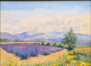 Salomon-Alfred BOISECQ (1911 - 2005), Pole lawendy na Prowansji