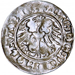 Litwa, Zygmunt Stary, półgroszek 1513, men. Wilno