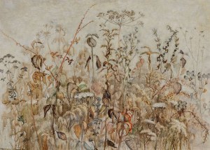 Danuta BOGUSZEWSKA-CHLEBOWSKA, ŁĄKA, 1969