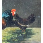 Tito Pellicciotti, Roosters - Tito Pellicciotti