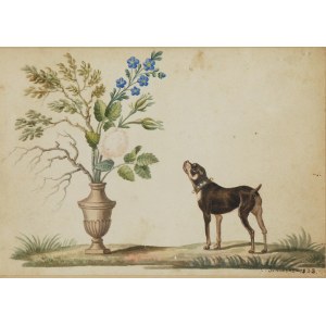 Jan SIKORSKI (1804-1887), Flora i fauna, 1828