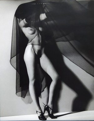 Günter Blum (1949-1997), Dama w czarnym welonie