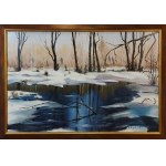 Dorota Kurylo, Thaw, 2019