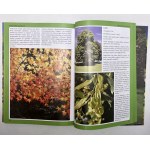Beautiful garden - Warsaw 2014 - Special edition album
