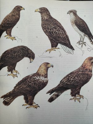 Mitchell Beazley - Atlas of birds of the world - The world atlas of birds - Hong Kong 1989.