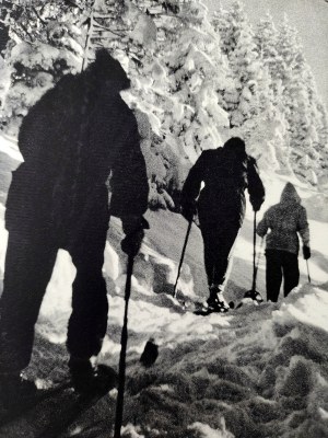 Polish Mountains in artistic photography, introduction by J. Iwaszkiewicz, Warsaw 1973 [ Tatra Mountains Pieniny, Beskidy Bieszczady Mountains Świętokrzyskie Mountains, Sudetes].