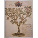 Genealogical Tree of the Herbu Jastrzębiec Family - Poland, 19th century