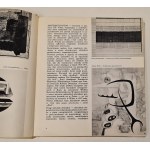 Trzeciak Przemysław - 250 Mal über polnische Kunst [illustriertes Wörterbuch].