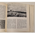 Trzeciak Przemysław - 250 razy o sztuce polskiej [ilustrowany słownik]
