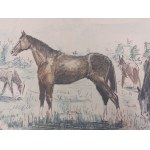 Watercolor with horses