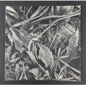 Jerzy Fedak, Photographie artistique, Jerzy Fedak, 1973/74