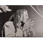 Photo, Bob Marley en concert