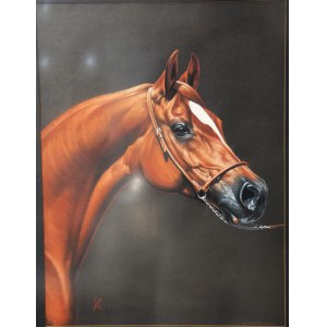 Zbigniew KOTOWSKI (ur. 1959), Portret konia, pastel