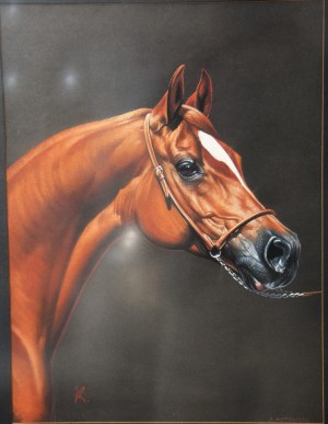 Zbigniew KOTOWSKI (ur. 1959), 